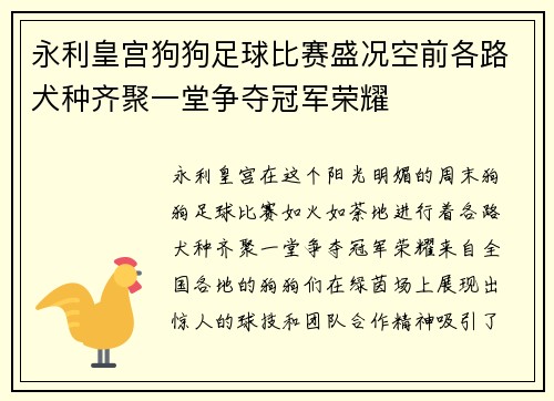 永利皇宫狗狗足球比赛盛况空前各路犬种齐聚一堂争夺冠军荣耀